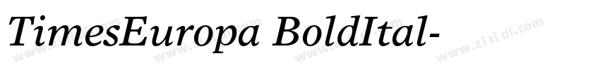 TimesEuropa BoldItal字体转换